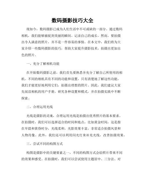 数码摄影技巧大全
