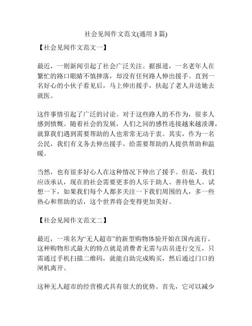 社会见闻作文范文(通用3篇)