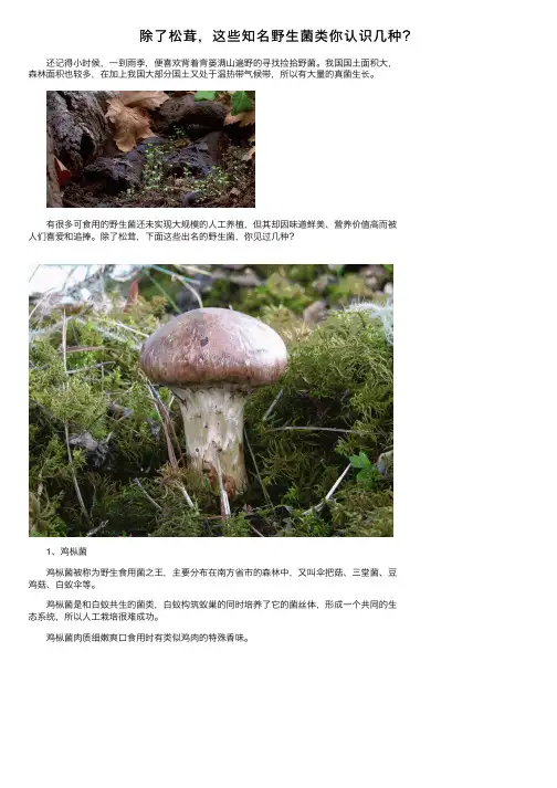 除了松茸，这些知名野生菌类你认识几种？