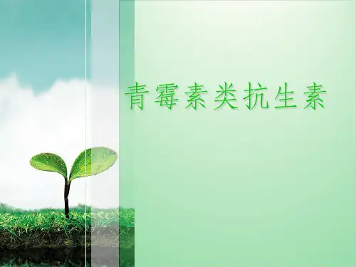 青霉素最新版本