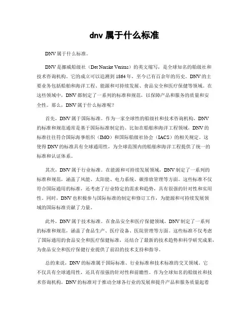 dnv属于什么标准