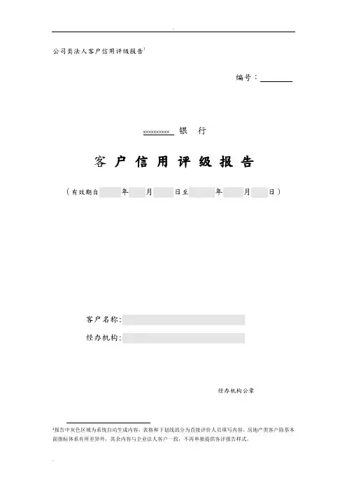 公司类法人客户信用评级报告模板