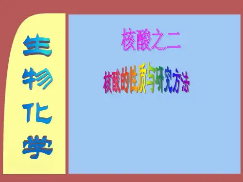 核酸的性质与研究方法