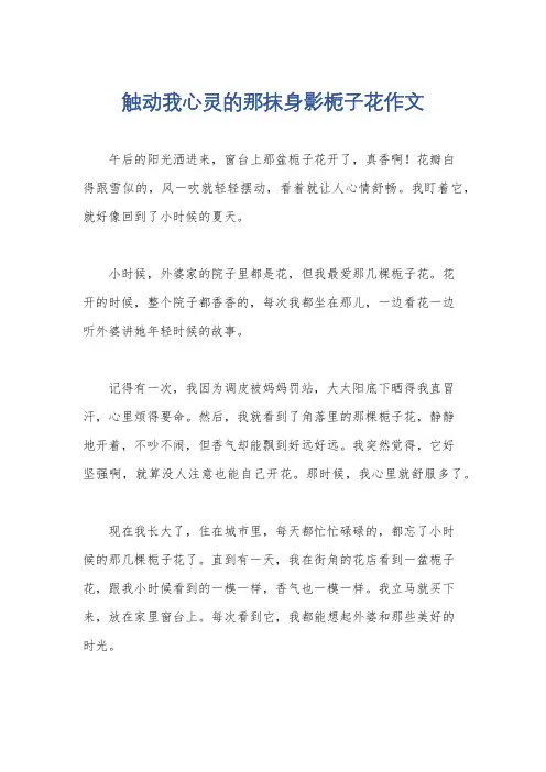 触动我心灵的那抹身影栀子花作文