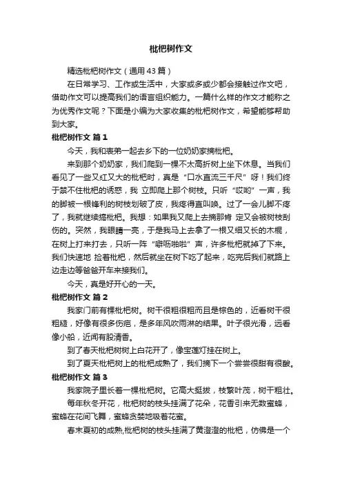 精选枇杷树作文（通用43篇）