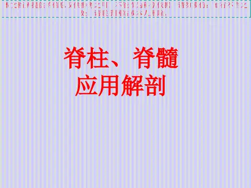 脊柱解剖图专题知识讲座培训课件