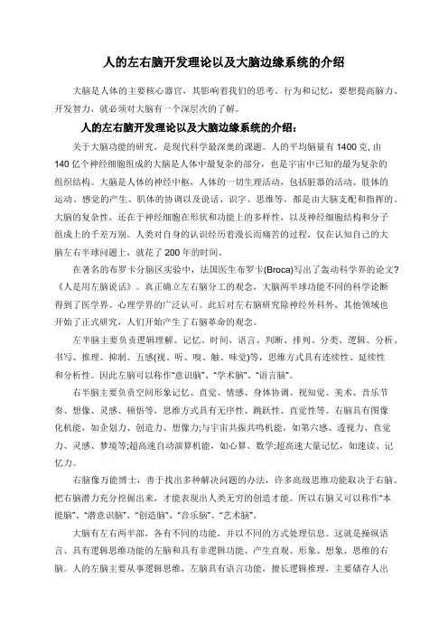 人的左右脑开发理论以及大脑边缘系统的介绍