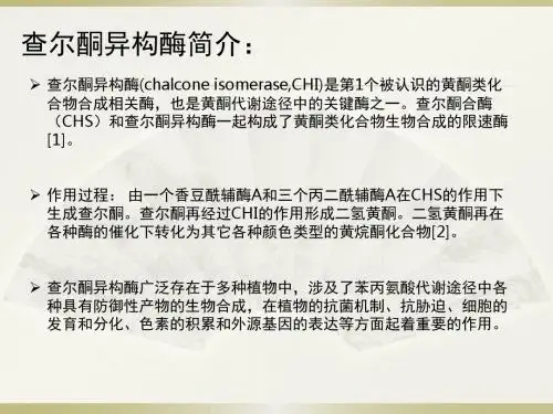 查尔酮异构酶简介-文档资料