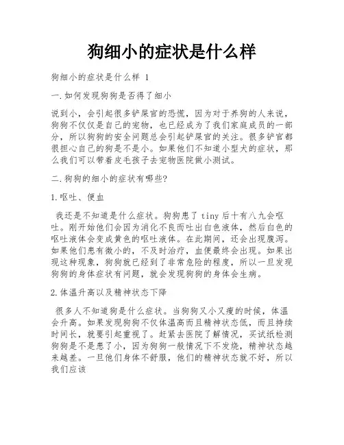 狗细小的症状是什么样