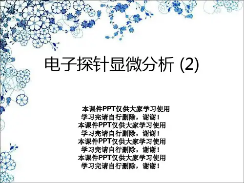 电子探针显微分析 (2)