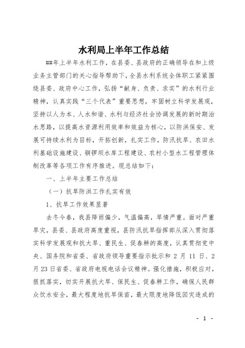 水利局上半年工作总结