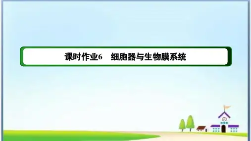 课时作业6 细胞器与生物膜系统(含答案详解)