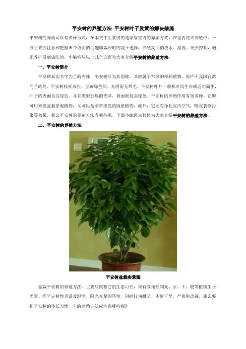 家庭常见观赏花木的养殖方法和注意事项