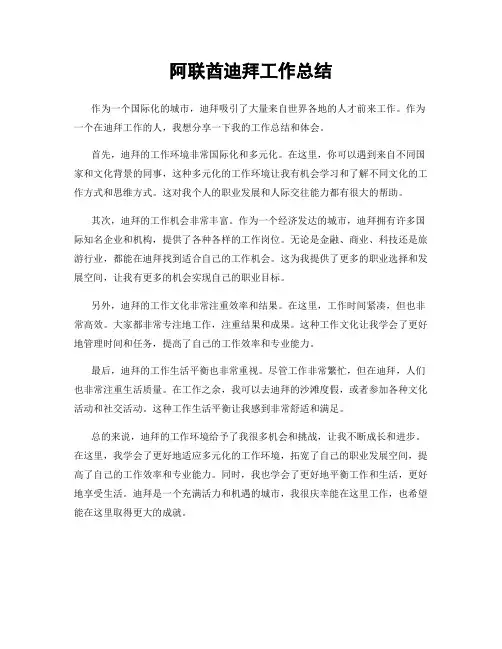 阿联酋迪拜工作总结