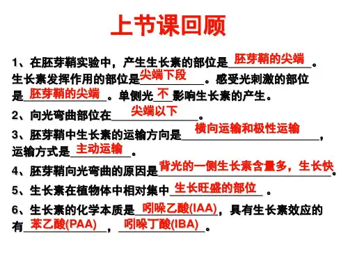 32生长素的生理作用