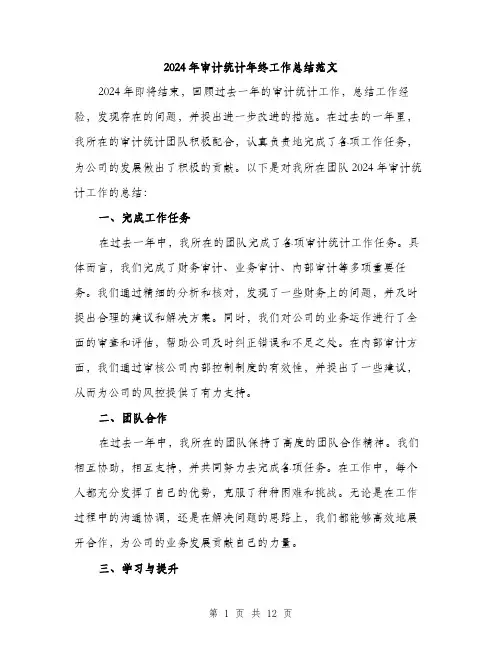 2024年审计统计年终工作总结范文(四篇)