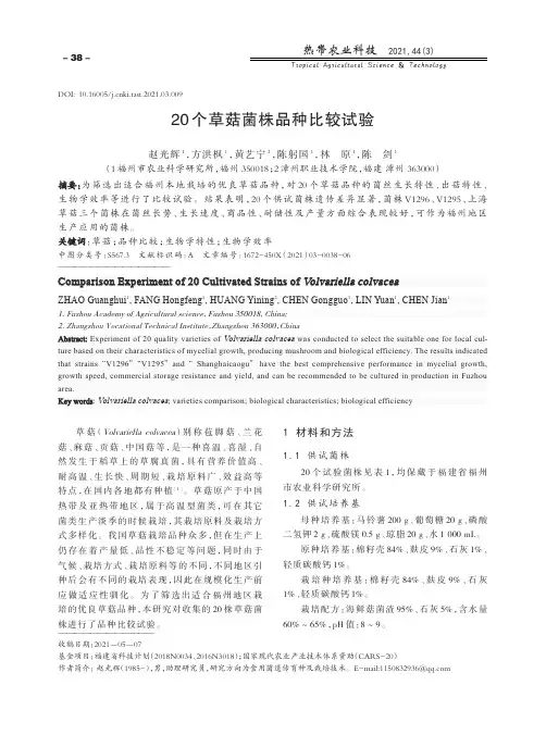 20个草菇菌株品种比较试验