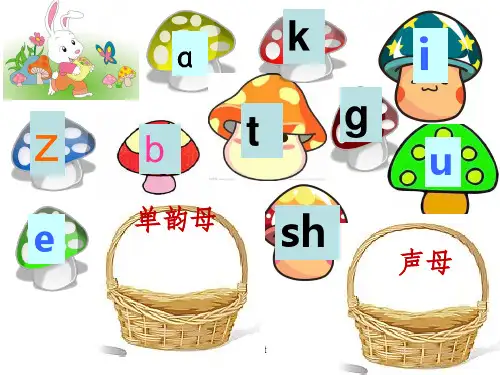 部编版小学语文一年级上册拼音aieiui课件