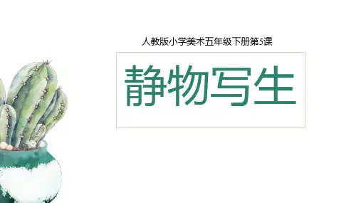 小学课程美术课件：静物写生
