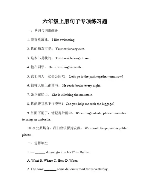 六年级上册句子专项练习题