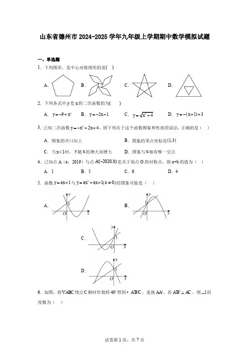 山东省德州市2024-2025学年九年级上学期期中数学模拟试题
