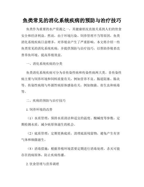 鱼类常见的消化系统疾病的预防与治疗技巧