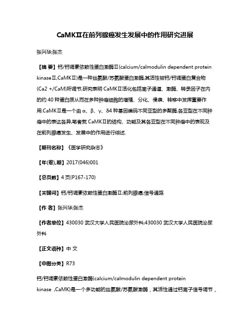 CaMKⅡ在前列腺癌发生发展中的作用研究进展