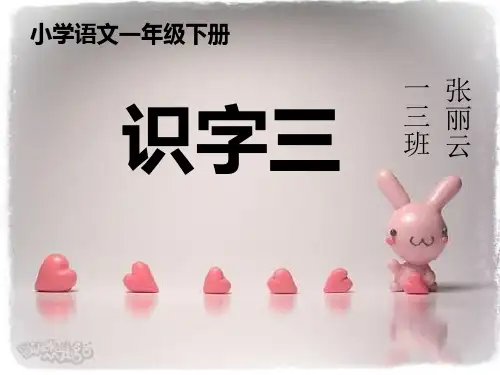 小学一年级下册语文《识字三》课件1