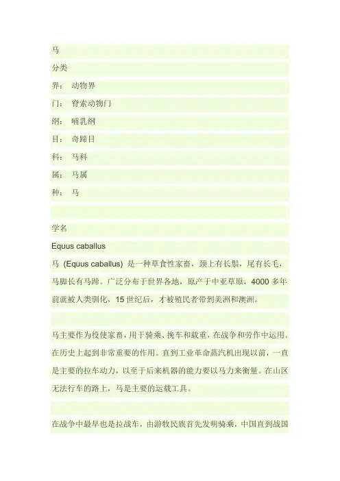 马的资料