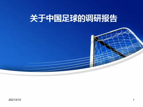 关于中国足球的调研报告PPT参考课件