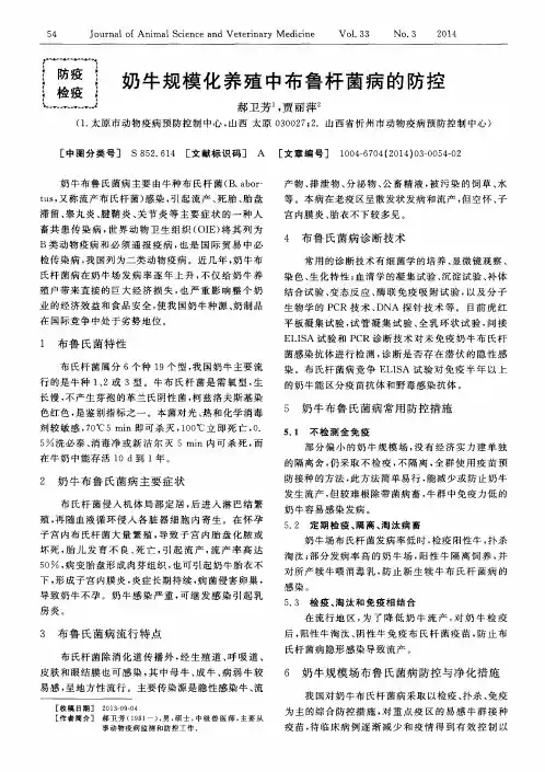 奶牛规模化养殖中布鲁杆菌病的防控