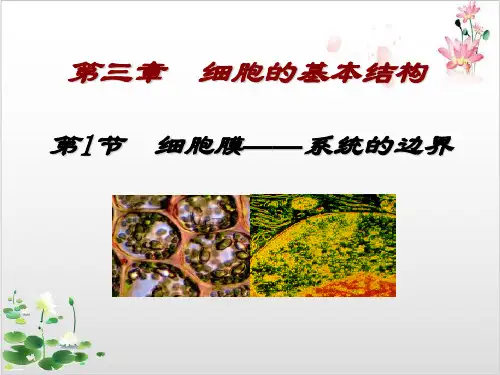 人教版高中生物必修细胞膜—系统的边界-ppt精品课件