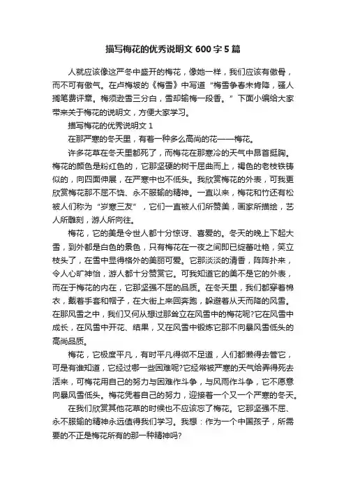 描写梅花的优秀说明文600字5篇