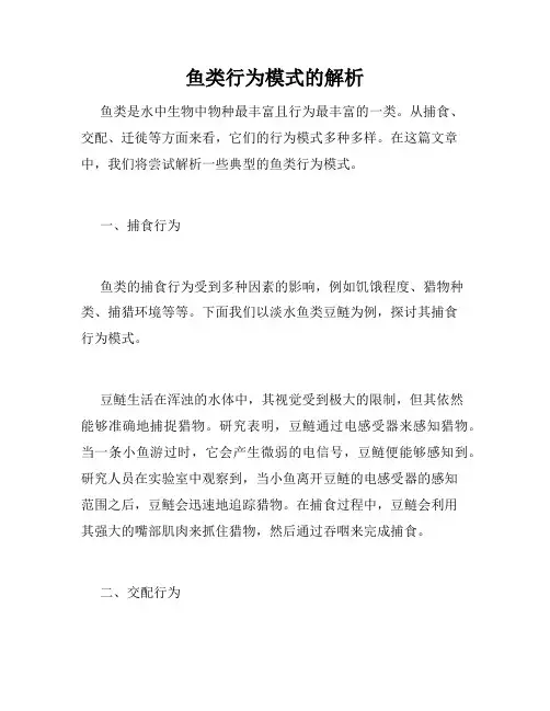 鱼类行为模式的解析