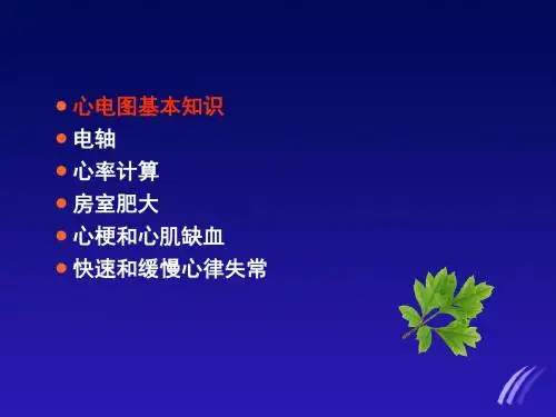 2019年临床常见心电图的判读ppt课件语文
