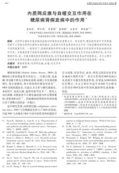 内质网应激与自噬交互作用在糖尿病肾病发病中的作用