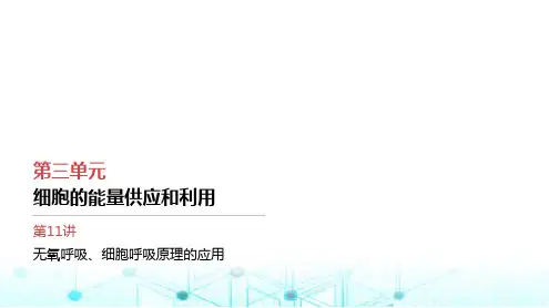 人教版高中生物必修一无氧呼吸、细胞呼吸原理的应用课件
