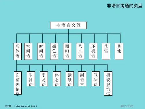 非语言沟通的类型(分析“语言”文档)共9张PPT