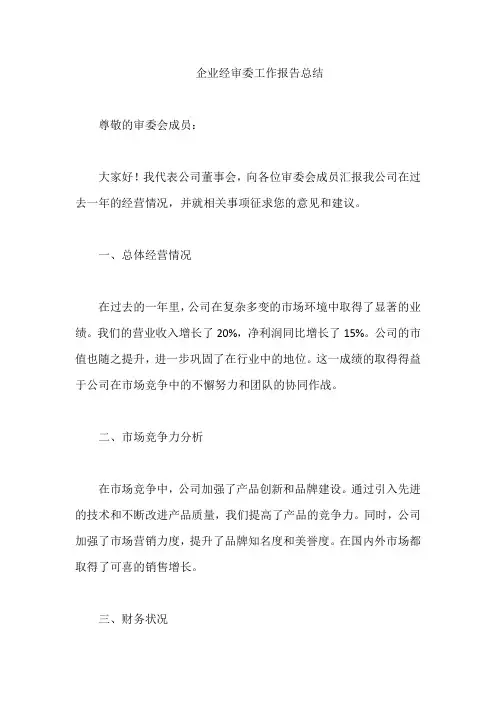 企业经审委工作报告总结
