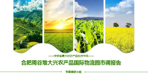 安徽省最大的农产品批发市场(周谷堆)调研报告