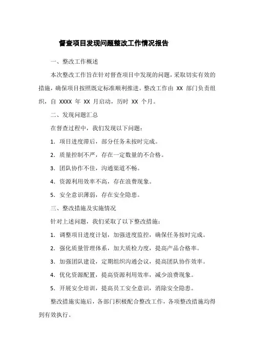 督查项目发现问题整改工作情况报告
