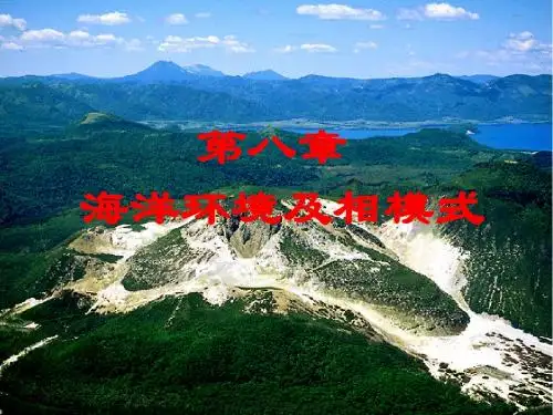 8-2 海洋环境及相模式 沉积学及古地理学教程