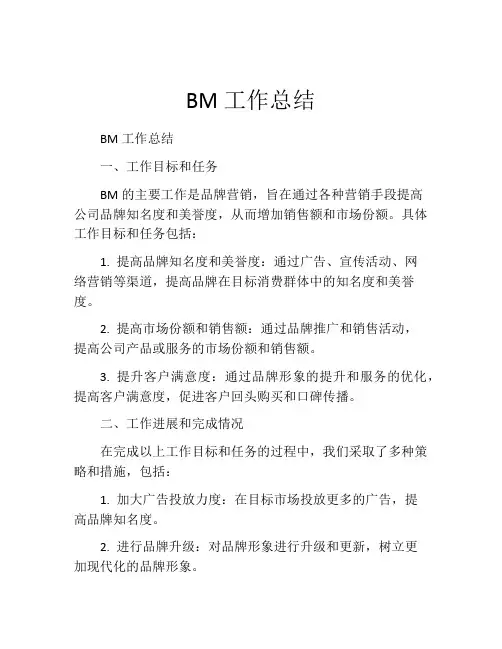 BM工作总结