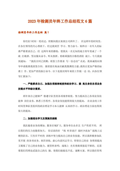 2023年检测员年终工作总结范文6篇