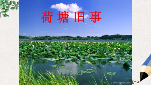 六年级语文上册5.3荷塘旧事课件1北师大版