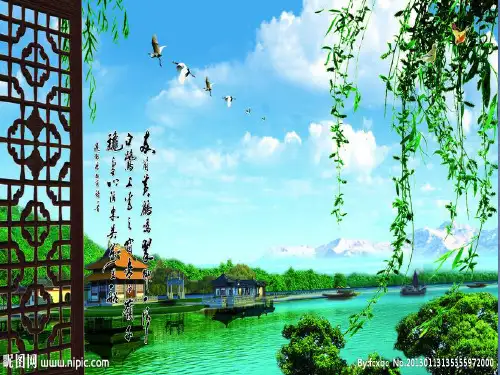 苏科版生物八年级上册 6.17.2 动物的行为 课件