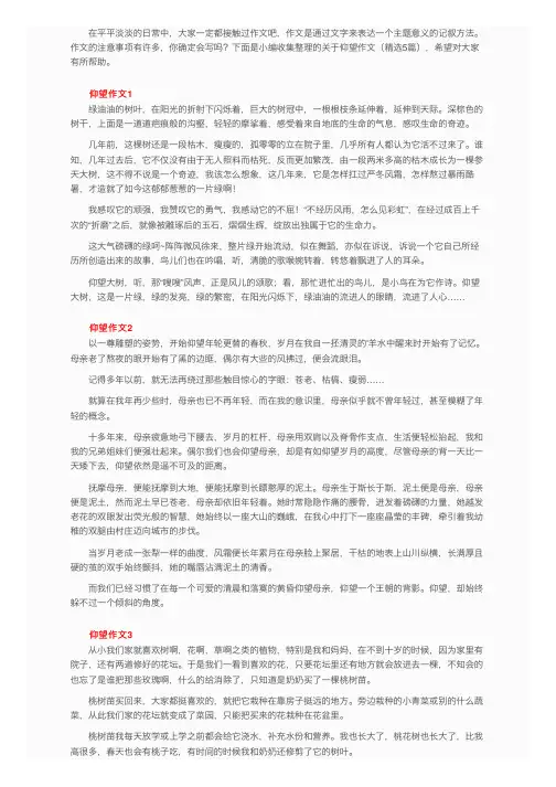 关于仰望作文（精选5篇）