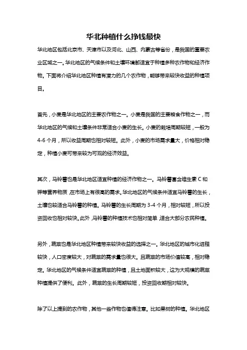 华北种植什么挣钱最快