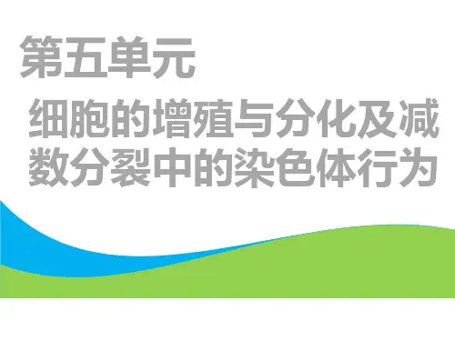 高考总复习《生物》细胞的增殖与分化ppt课件