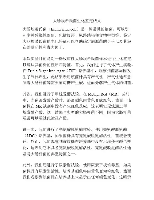 大肠埃希氏菌生化鉴定结果